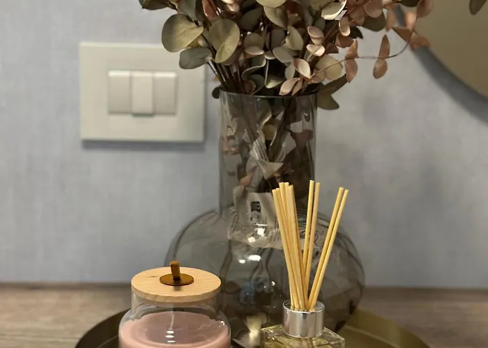 Cosmo Studio